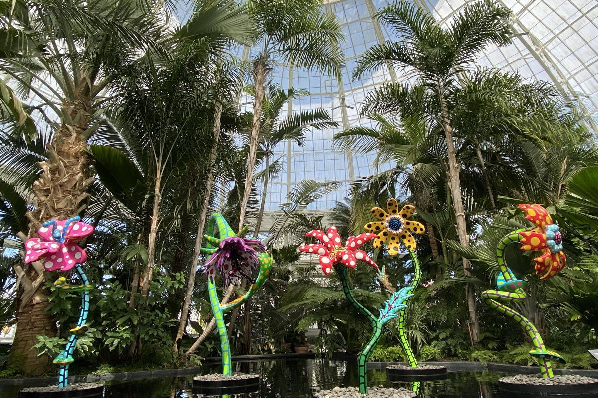 KUSAMA: Cosmic Nature